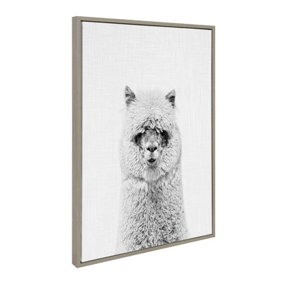 Sylvie Hairy Alpaca Framed Canvas by Simon Te of Tai Prints
