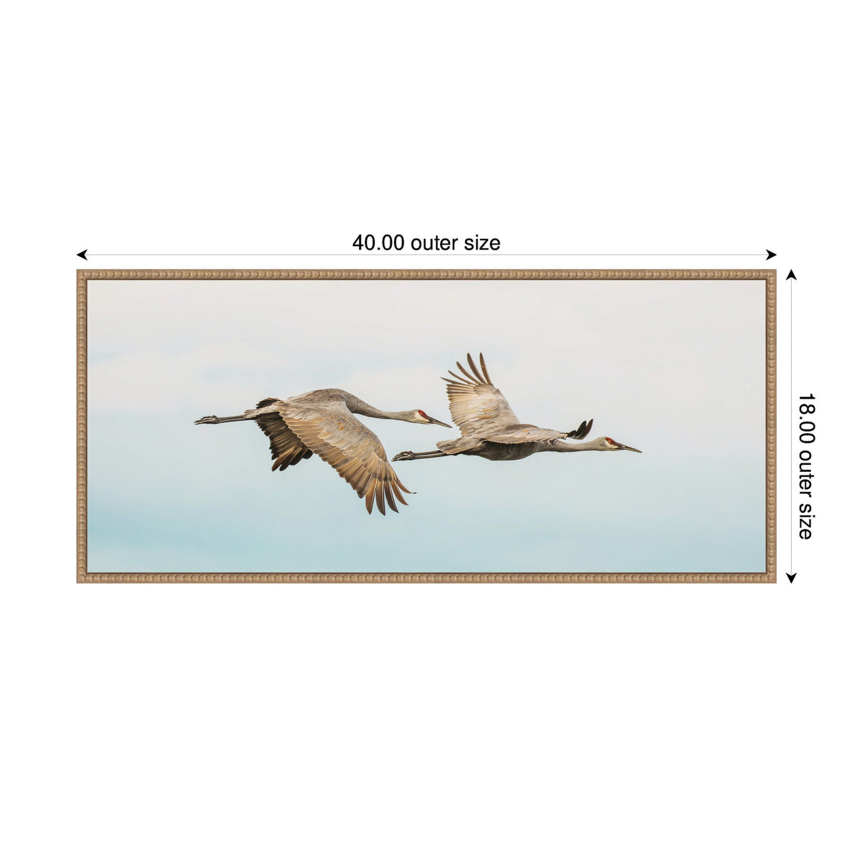 Framed canvas print of two cranes flying closely against a pale sky, measuring 40 by 18 inches with a thin wooden frame.