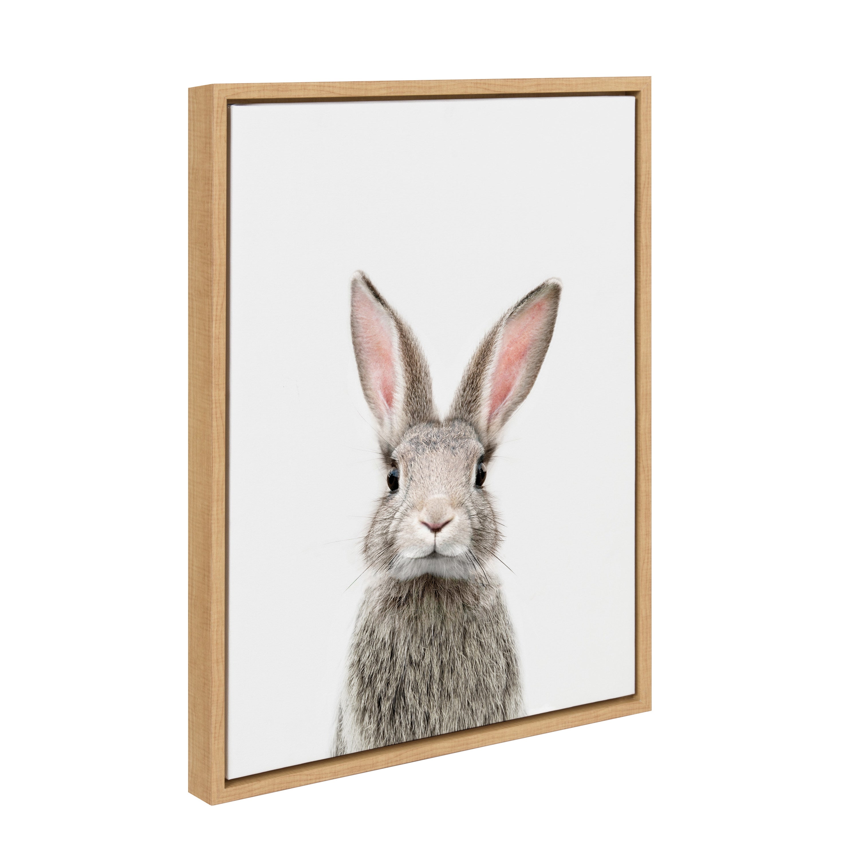 Sylvie Young Rabbit Framed Canvas by Amy Peterson Art Studio