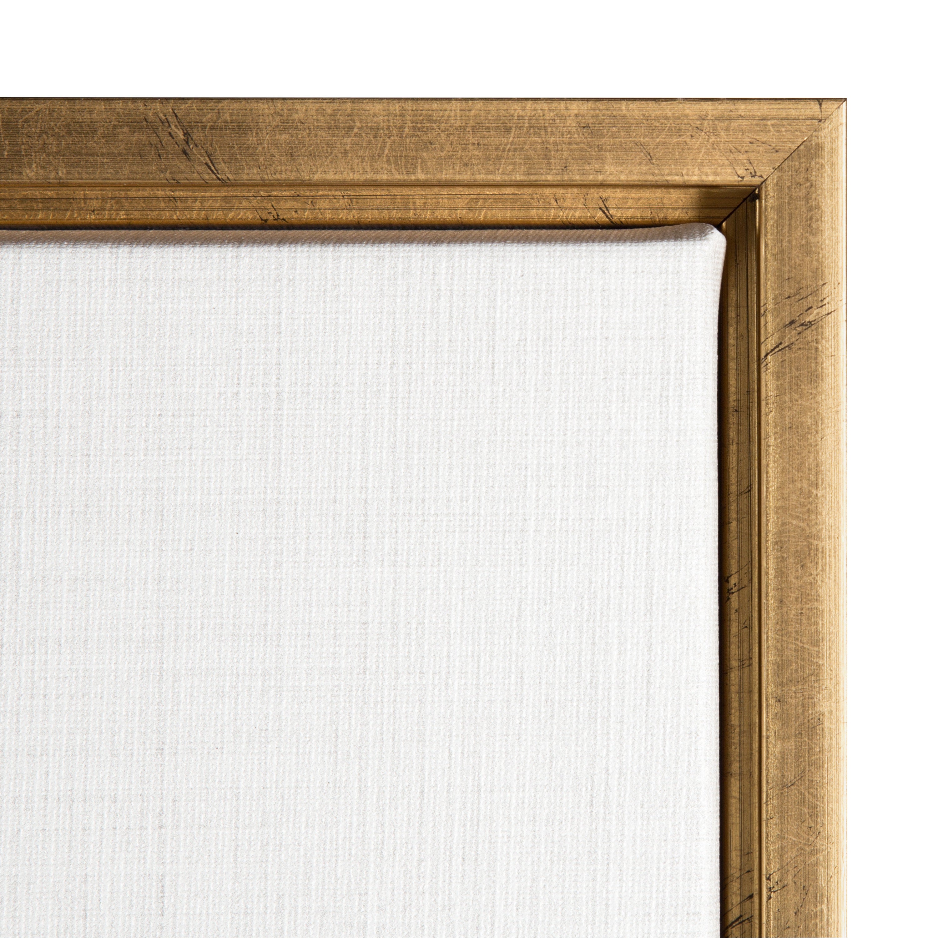 Sylvie Hairy Alpaca Framed Canvas by Simon Te of Tai Prints