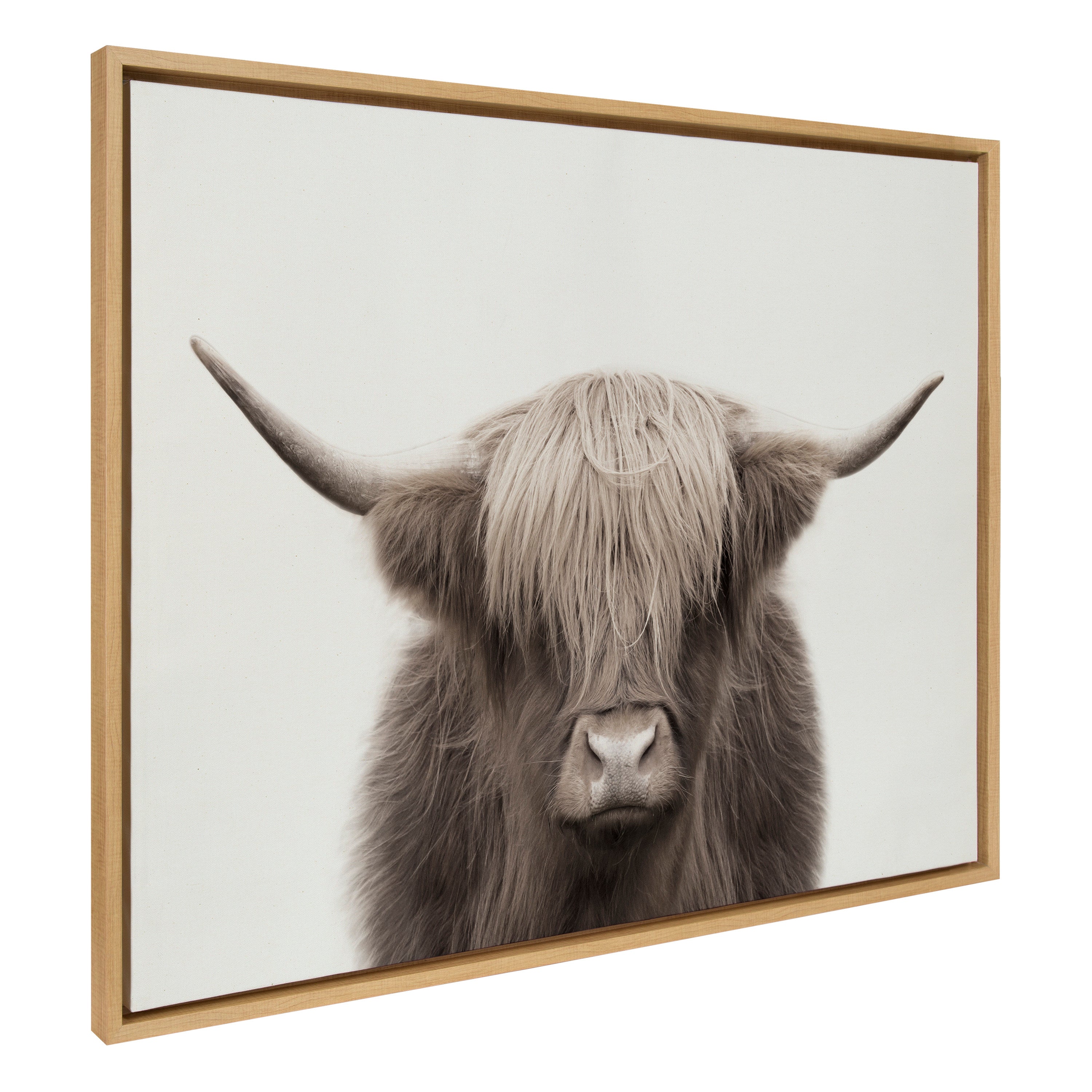 Sylvie Hey Dude Highland Cow Color Framed Canvas by The Creative Bunch