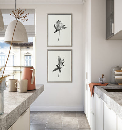 Sylvie Vintage Botanical 1 and 2 Framed Canvas by kateandlaurel - product image 15 for Resin Society