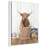 Brown Highland cow with long hair covering eyes sitting inside a wicker laundry basket surrounded by colorful clothes on a wooden floor and white paneled wall.