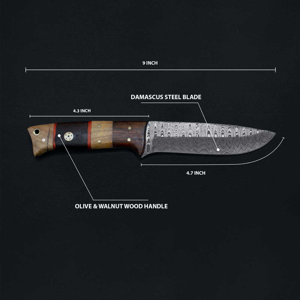 Hand forged Damascus hunting knife by Titan Td-192 with olive and walnut wood handle