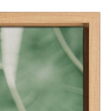 Sylvie Plant Study 7 Framed Canvas
