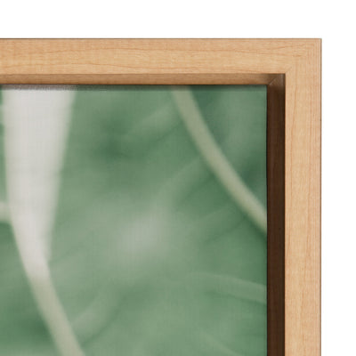 Sylvie Plant Study 7 Framed Canvas