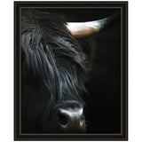 Close-up of a black Highland cow's face with long shaggy hair partially covering its eyes and a textured horn against a dark background.