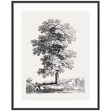 Black and white drawing of a large deciduous tree with detailed foliage and a rural landscape featuring a small building in the background, framed in a simple black frame.