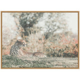 Framed canvas print of a cheetah lying on grass, gazing to the left with blurred trees and foliage in the soft-focused background.