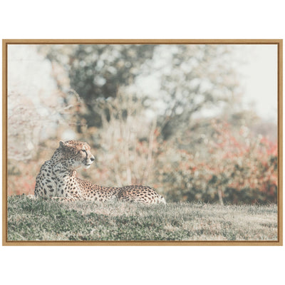 Sylvie Cheetah Glance Framed Canvas by Alicia Abla