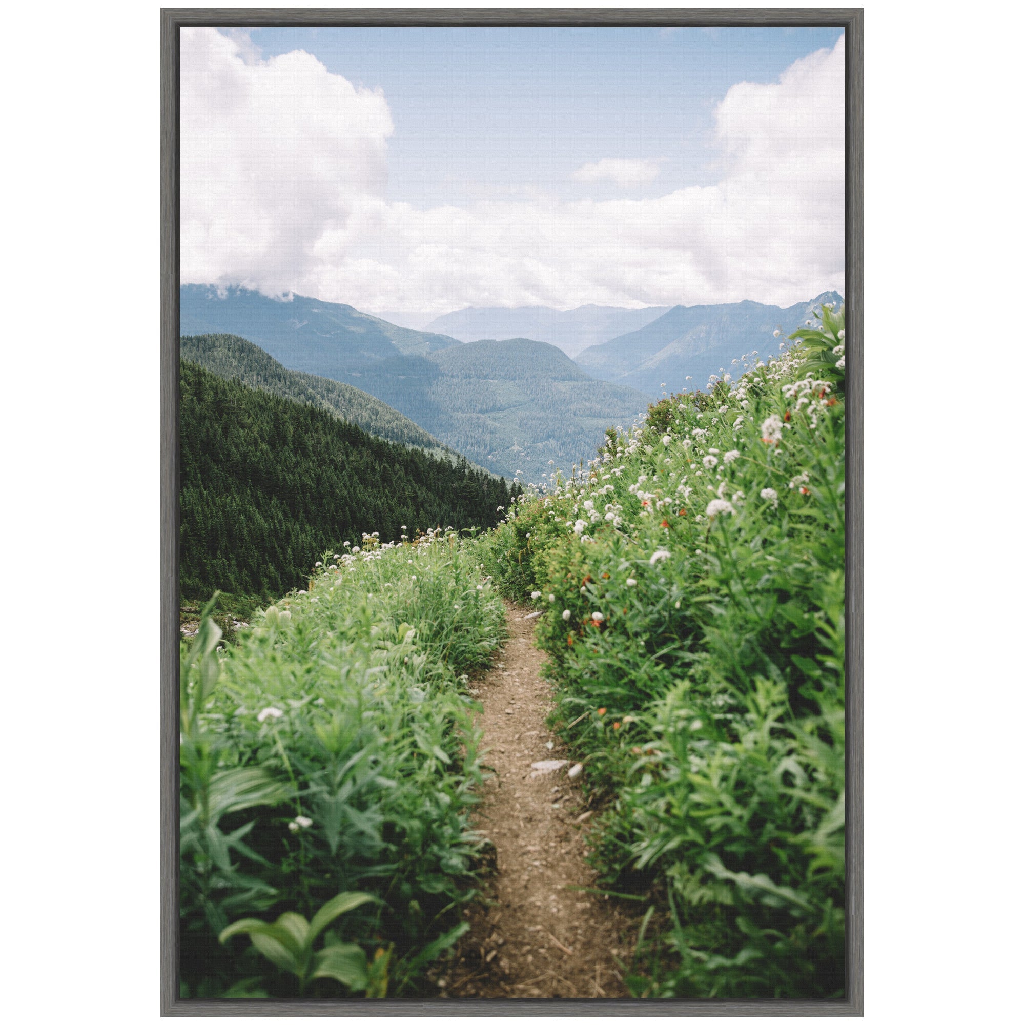 Sylvie Mountain Trail Scenic Landscape Framed Canvas by Patricia Hasz