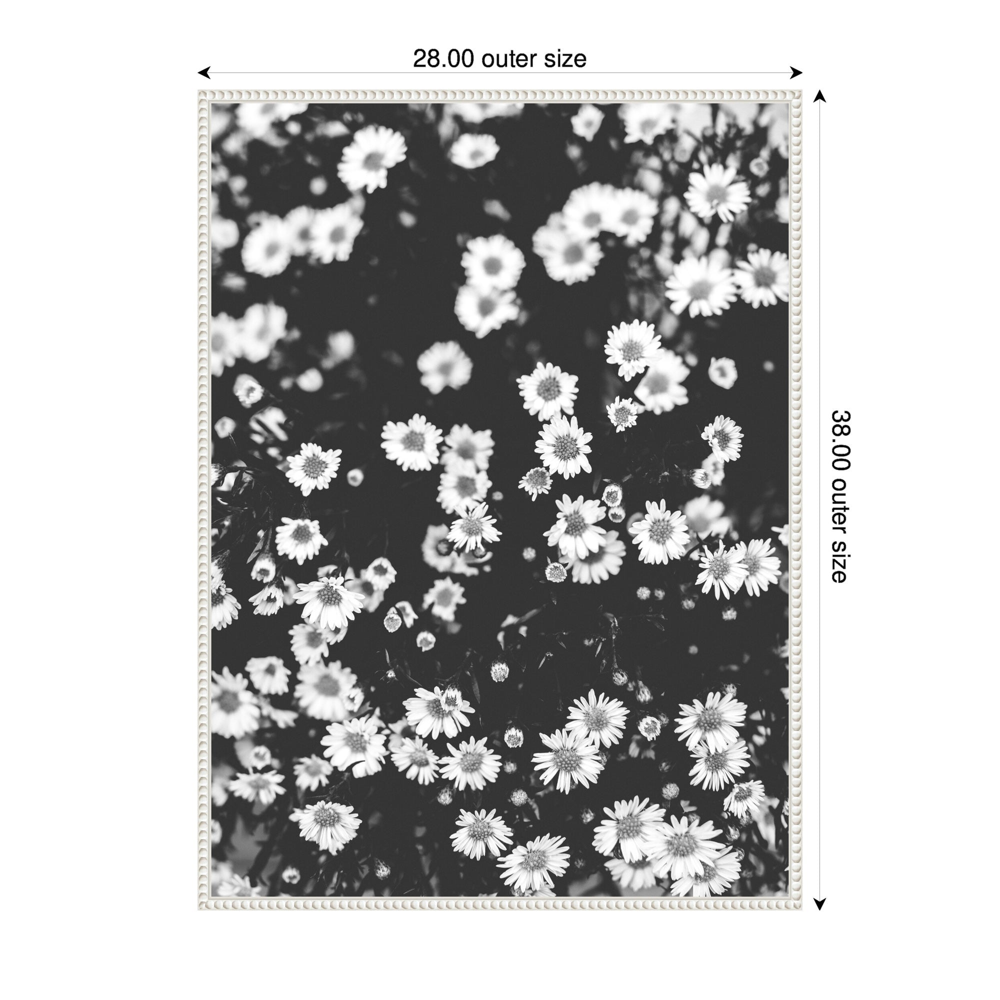 Sylvie Chamomile Framed Canvas by Alicia Abla