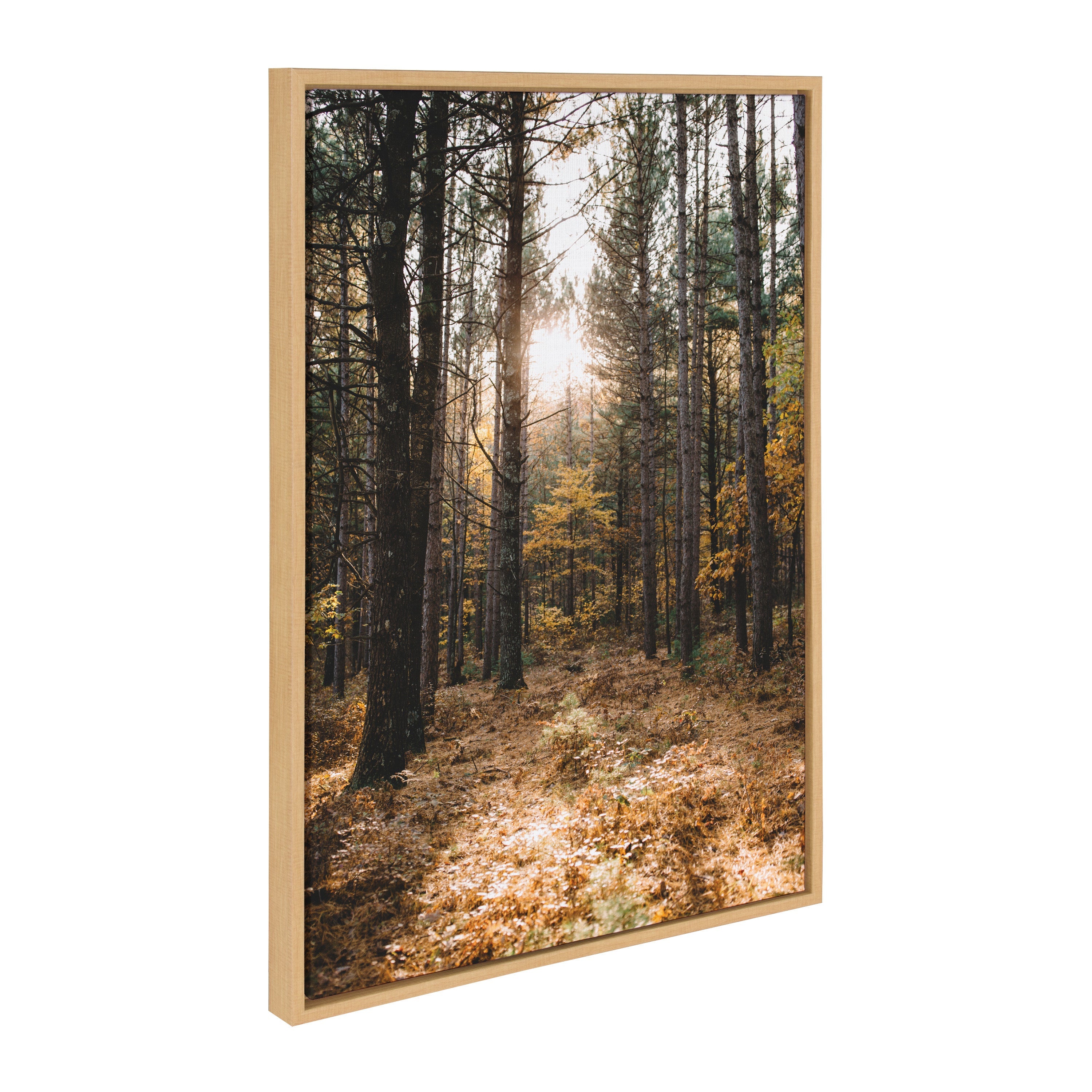 Sylvie A Walk in the Woods Framed Canvas by Patricia Hasz