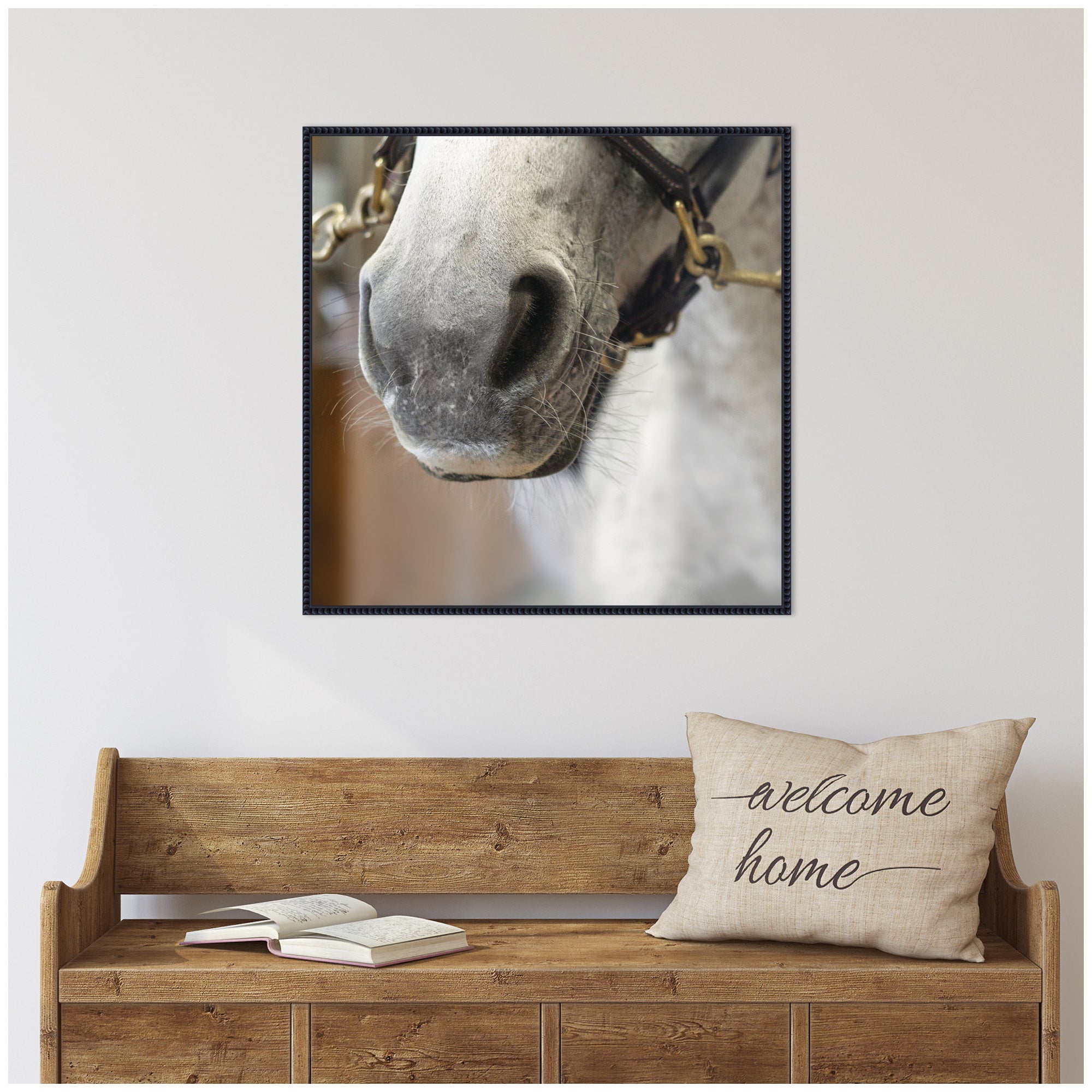 Barn Day Horse by Emiko and Mark Franzen F2 Images Framed Canvas Wall Art Print