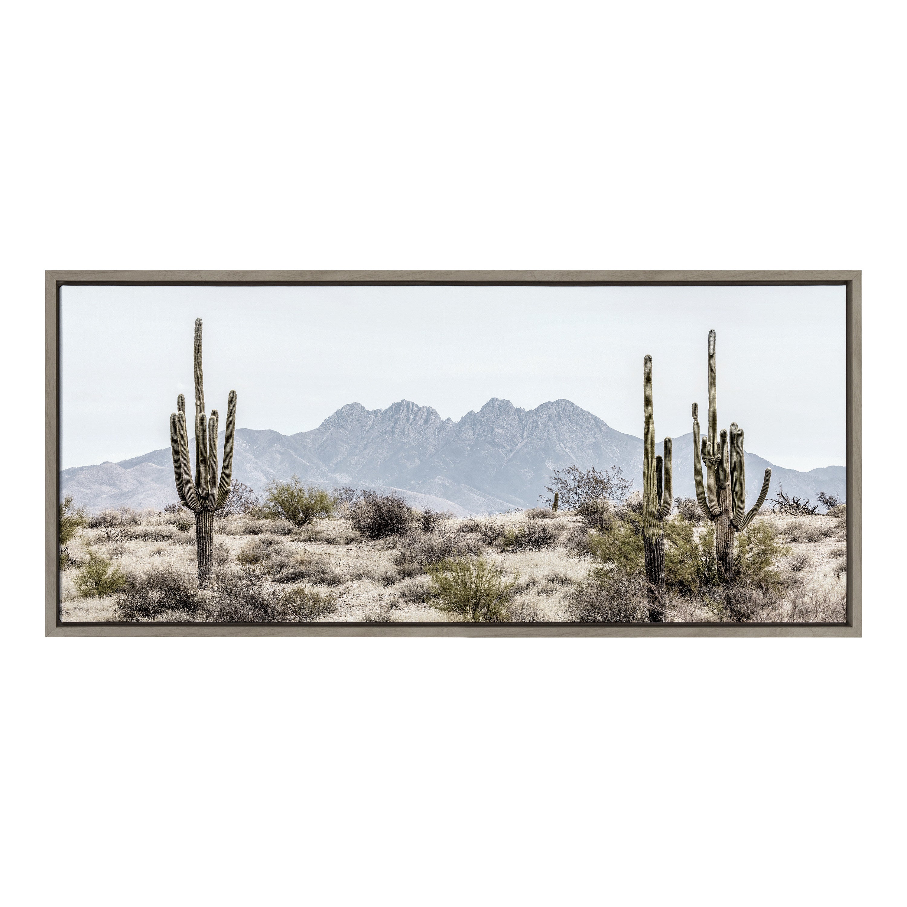 Sylvie Tall Saguaro Cacti Desert Mountain Framed Canvas by kateandlaurel - product image 9 for Resin Society