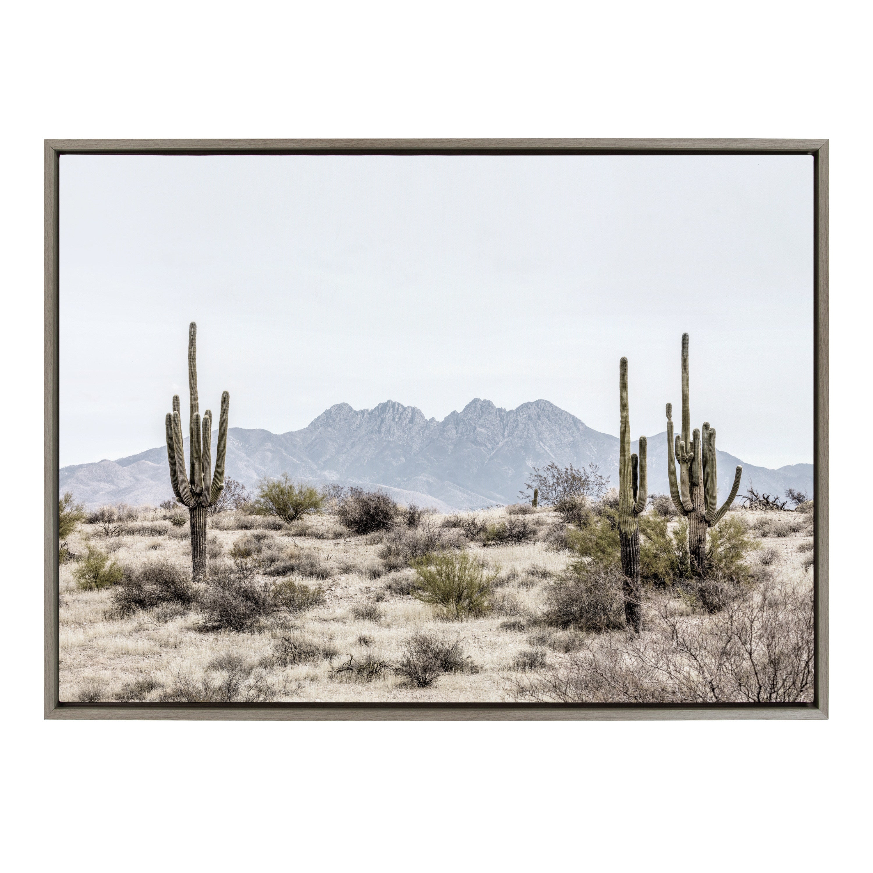 Sylvie Tall Saguaro Cacti Desert Mountain Framed Canvas by kateandlaurel - product image 11 for Resin Society