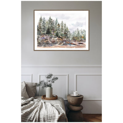 Sylvie Framed Canvas Pine Trees on Rocky Coast by Patricia Shaw
