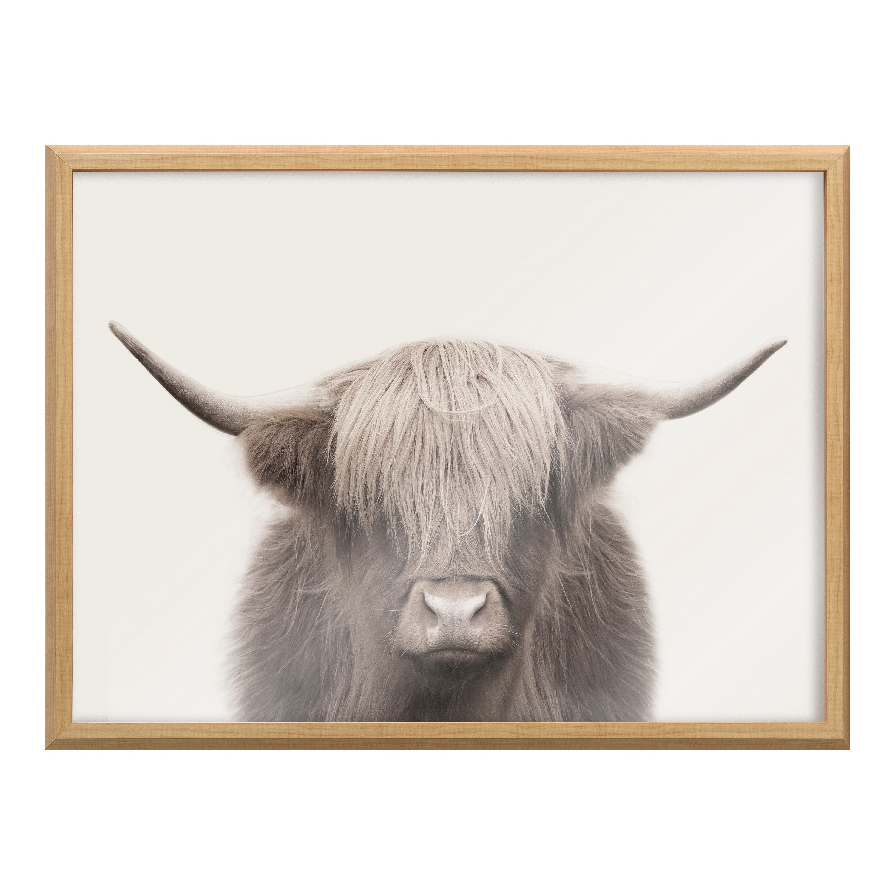 Blake Hey Dude Highland Cow Color Framed Printed Art - 24x32