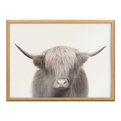 Blake Hey Dude Highland Cow Color Framed Printed Art - 24x32