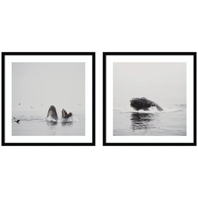 Humpback Whale 2 Piece Framed Wall Art Print Set by Laura Evans