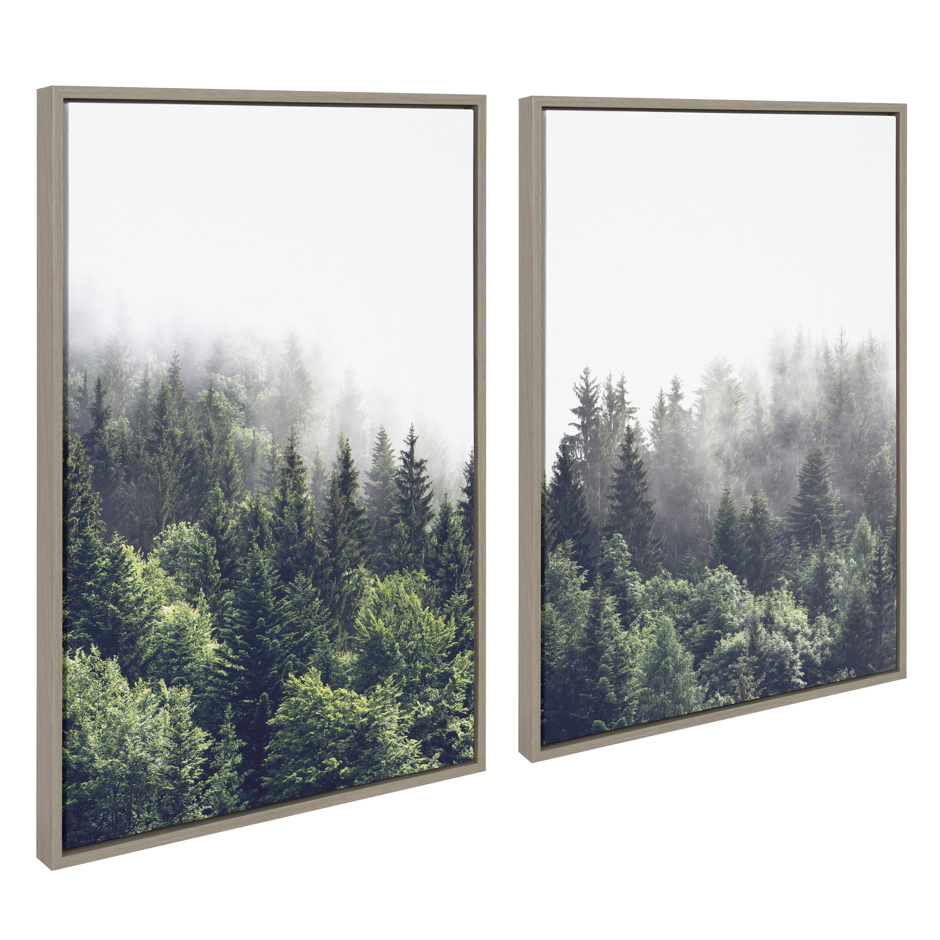Sylvie Lush Green Forest on a Foggy Day Framed Canvas Set by The