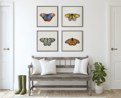 Sylvie Coppertop Butterfly Framed Canvas by kateandlaurel - product image 7 for Resin Society