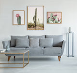 Sylvie Sunrise Cactus, Pink Cactus Flower and Cactus 25 Framed Canvas by kateandlaurel - product image 6 for Resin Society