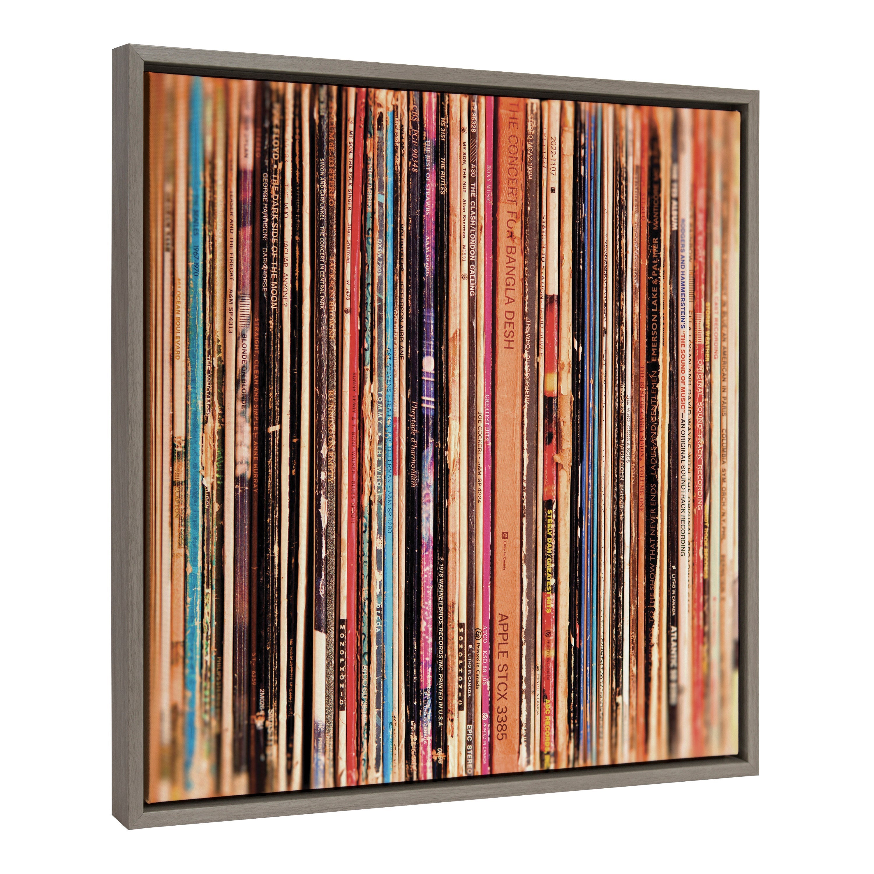 Sylvie Records Framed Canvas by Robert Cadloff of Bomobob by kateandlaurel - product image 16 for Resin Society