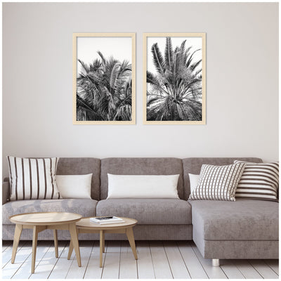 Palm No.
13 & 15 2 Piece Framed Wall Art Print Set by Alicia Bock
