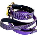 Close-up of a purple python leather strap and matching leash with gold-tone metal hardware, showing textured scales and stitched black inner lining.