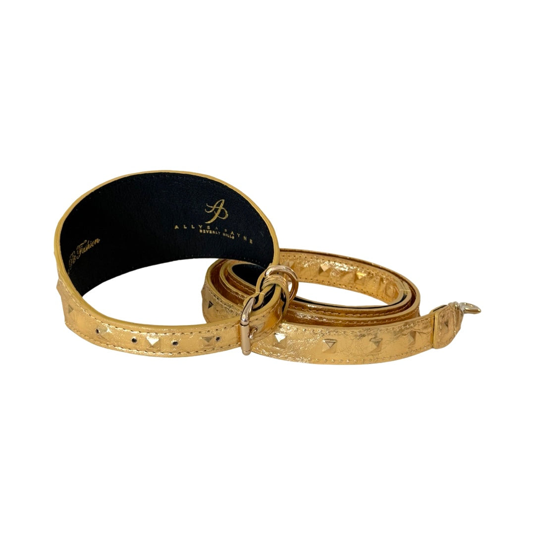 Gold embossed leather dog collar and matching leash with studded accents, black inner lining, and silver-toned hardware details, coiled on a white background.