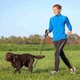 Woman in bright blue jacket and black leggings walking a large brown dog on a black leash in a grassy field with trees in the background under clear sky.