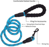 Blue nylon dog leash with reflective stripes, a padded black handle loop, a ring for accessories, and a strong clip for attachment.