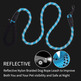 Blue nylon braided dog leash with reflective fibers, black padded handle loop, and black metal clip on a dark background