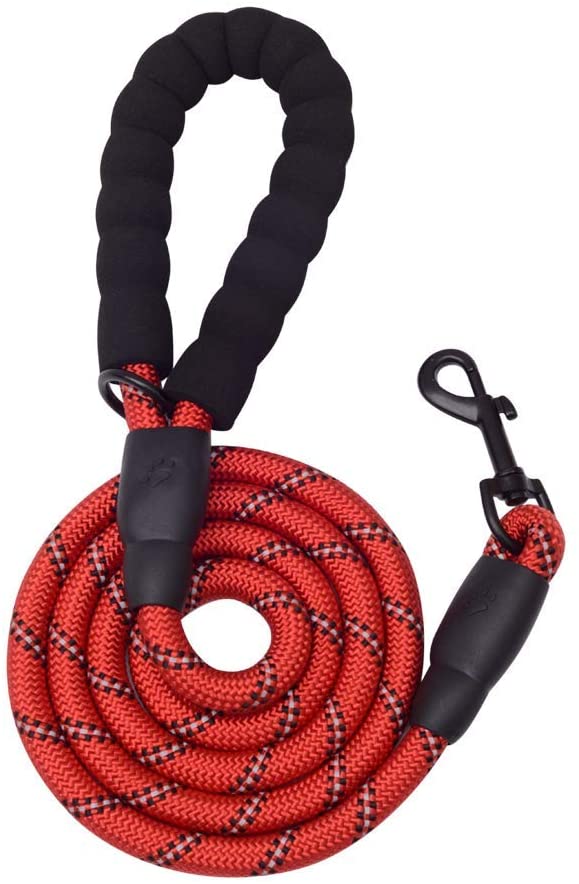 Red 5-foot dog leash with reflective threading and padded handle