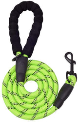 Green 5 ft thick highly reflective dog leash with padded handle and metal clasp