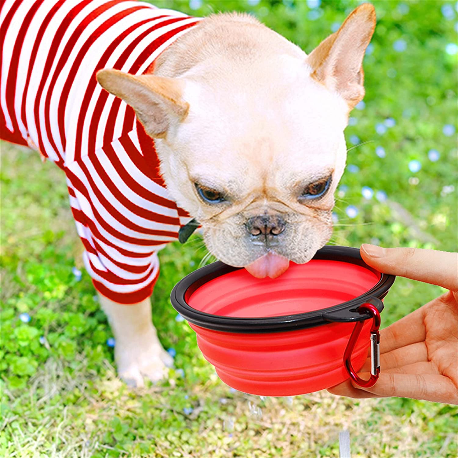 5" Portable and Foldable Small Dog Bowl-Red set of 5