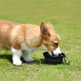 Small tan and white corgi puppy eating from a collapsible black silicone dog bowl with carabiner, placed on grass outdoors.
