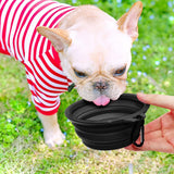 Small light-colored dog in red and white striped shirt drinking from a black collapsible bowl held by a hand outdoors on grass with green blurred background
