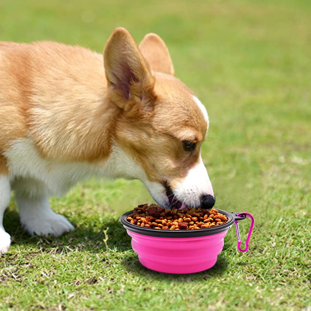 Small tan and white dog eating dry kibble from a bright pink collapsible silicone bowl with a black rim and metal carabiner on green grass