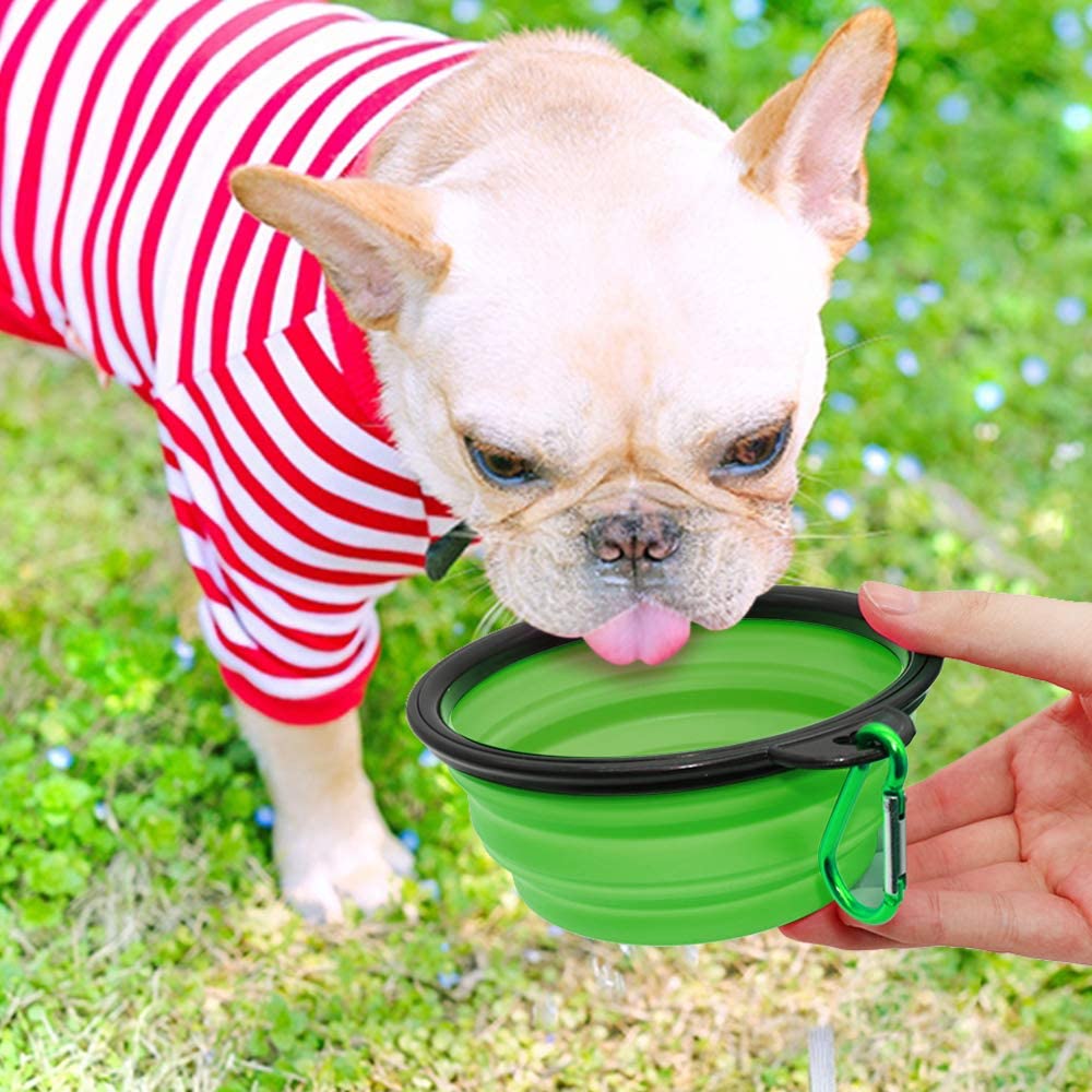 Light-colored French bulldog wearing a red and white striped shirt drinking water from a green collapsible bowl held by a human hand outdoors on grass.