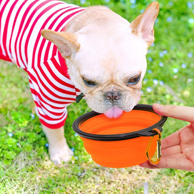 5" Portable and Foldable Small Dog Bowl-Orange set of 5