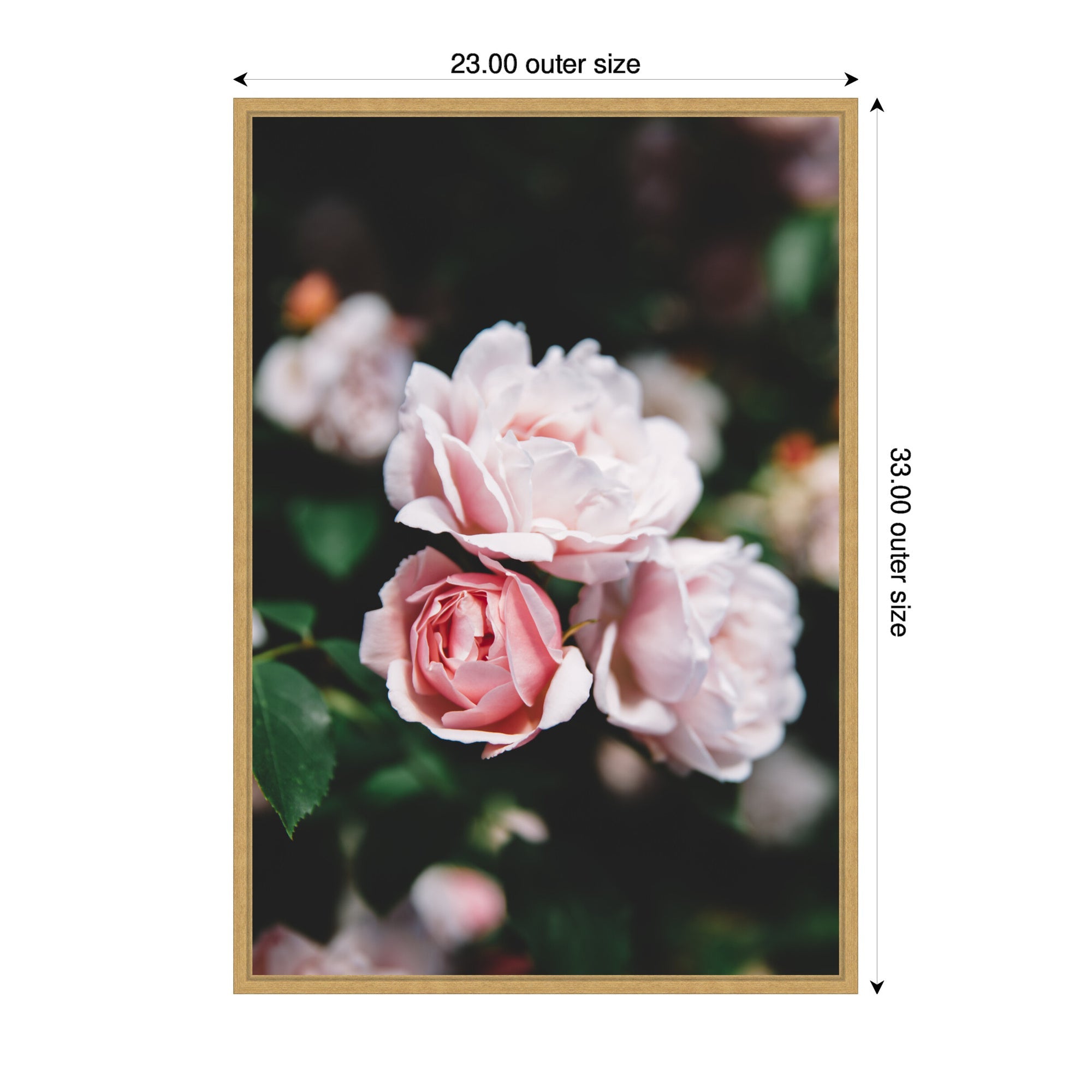 Sylvie Delicate Light Pink Rose Floral Framed Canvas by Patricia Hasz