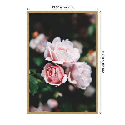 Sylvie Delicate Light Pink Rose Floral Framed Canvas by Patricia Hasz