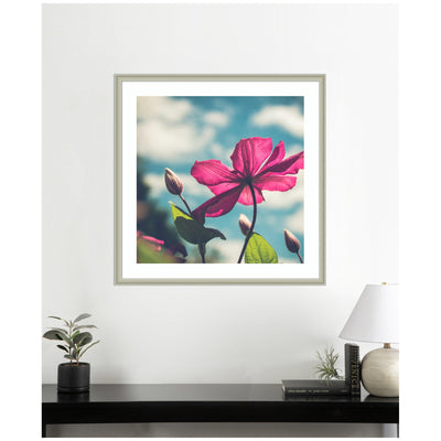 Framed Art Flower in the Sky by Stephanie Klatt
