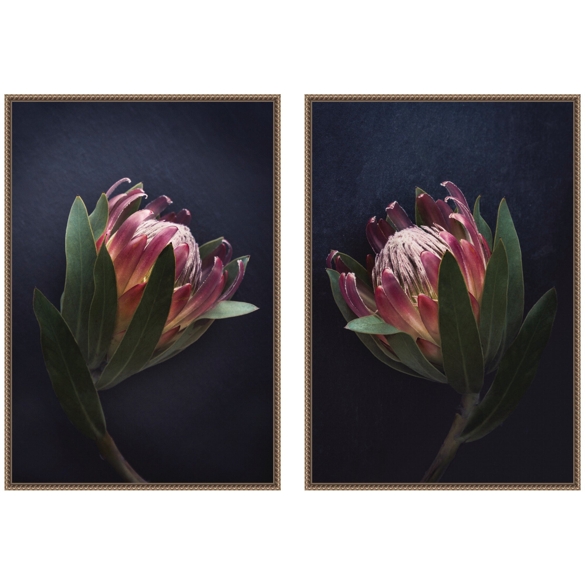 Moody ProteaNo.
1 & No.
2 2 Piece Framed Canvas Wall Art Set showing floral design in dark gold Sylvie Beaded frames