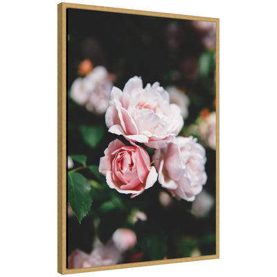 Framed canvas print of a delicate light pink rose floral artwork by Patricia Hasz