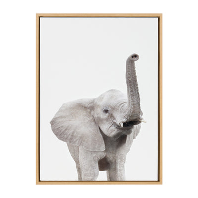 Sylvie Young Elephant Framed Canvas by Amy Peterson