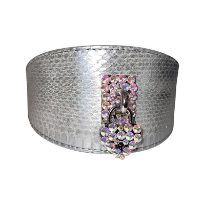 Silver snake collar featuring a Swarovski Heart Locket on a white background