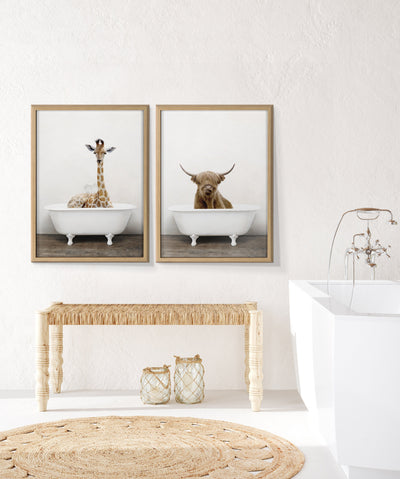 Blake Highland Cow in Tub Color Framed Printed Glass